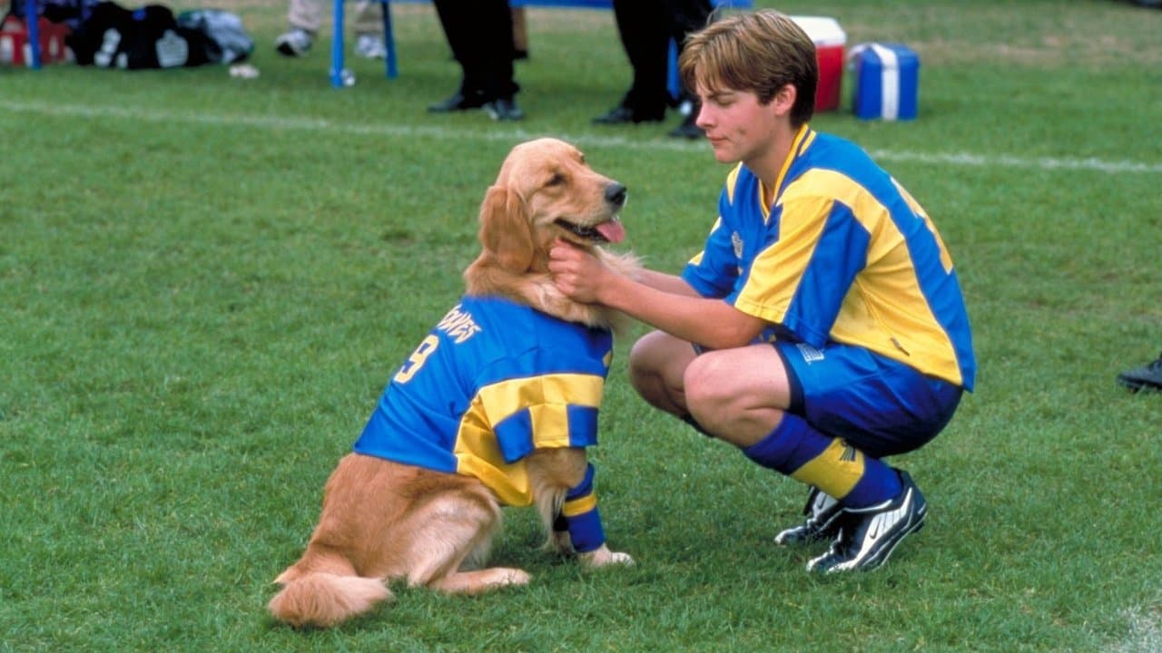 Air Bud 3 - le chien etoile backdrop