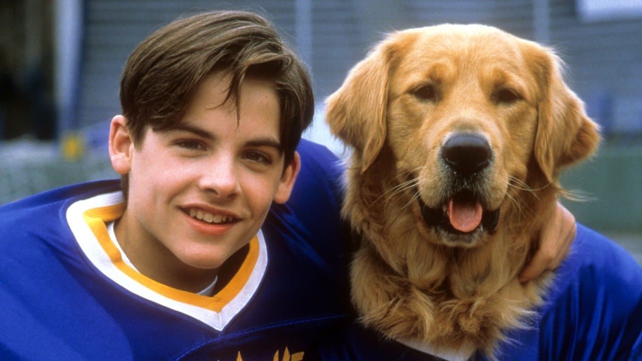 Air Bud 2 - Receveur étoile backdrop