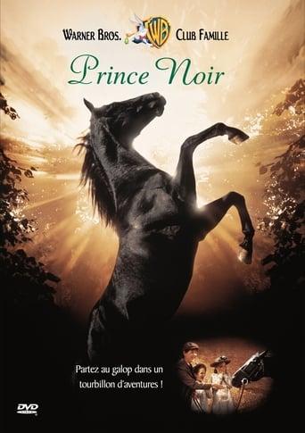 Prince noir poster