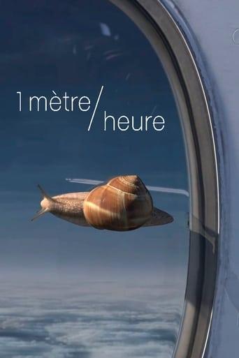 1 mètre/heure poster