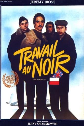 Travail au noir poster