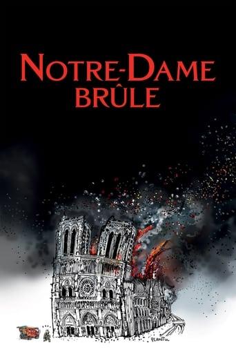 Notre-Dame brûle poster