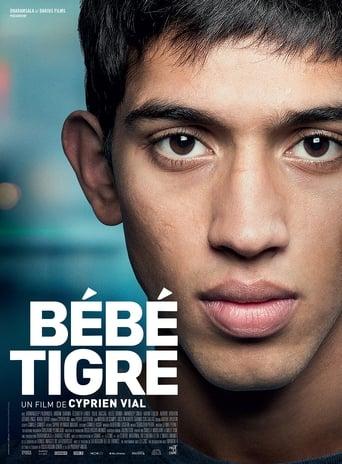 Bébé tigre poster