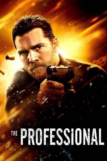 The Professional poster