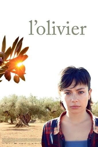 L'Olivier poster