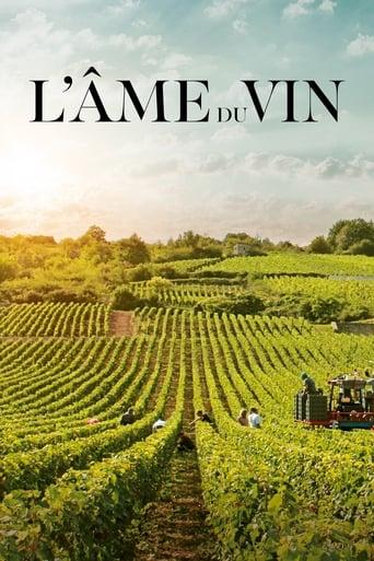 L'âme du vin poster