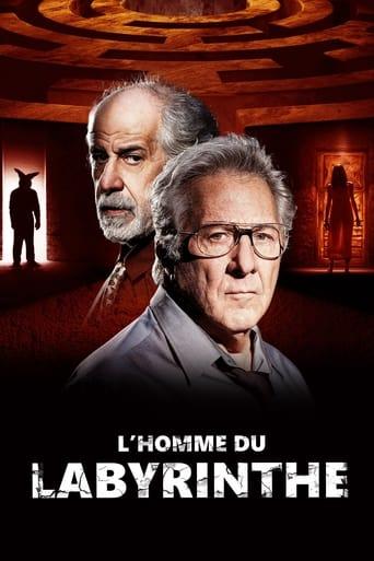 L'Homme du labyrinthe poster