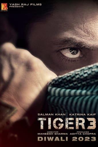 Tiger 3 poster