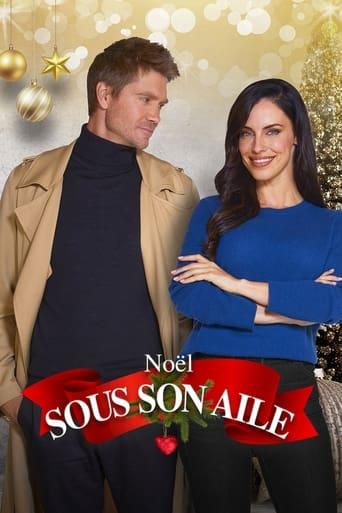 Noël sous son aile poster