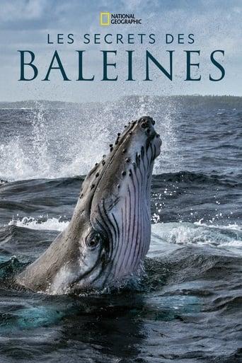 Les Secrets des baleines poster