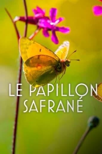 L’histoire du papillon safrané poster