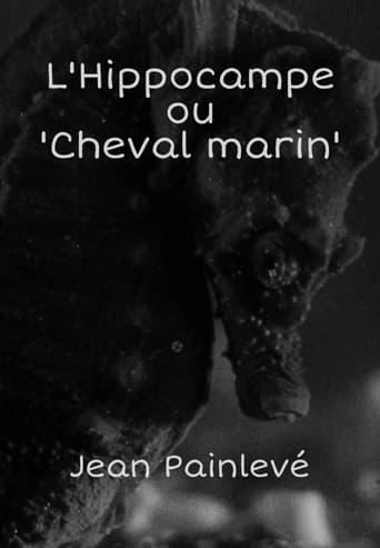 L'Hippocampe, ou 'Cheval marin' poster