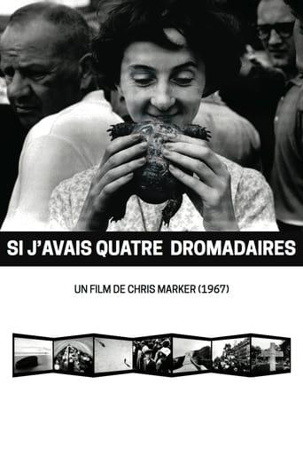 Si j'avais quatre dromadaires poster