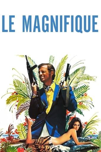 Le Magnifique poster