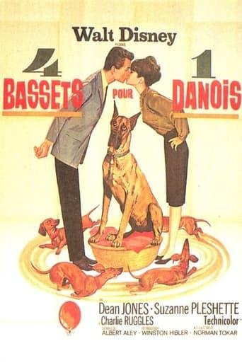 4 bassets pour un danois poster