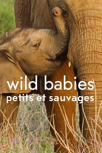 Wild Babies : Petits et Sauvages poster