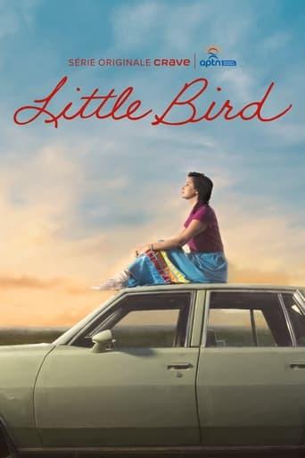 Little Bird poster