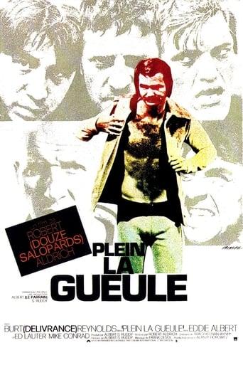 Plein la gueule poster