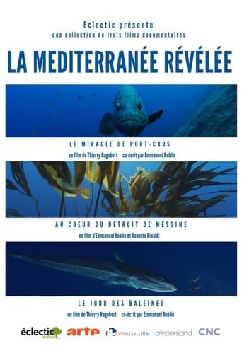 La Méditerranée révélée poster