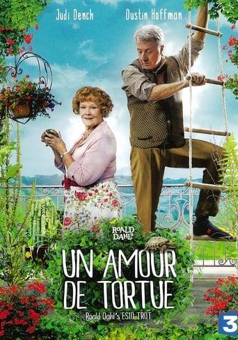 Un amour de tortue poster