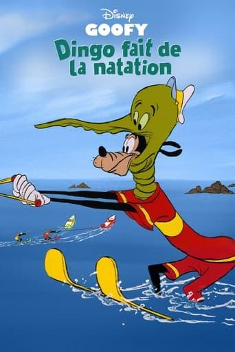 Dingo Fait de la Natation poster