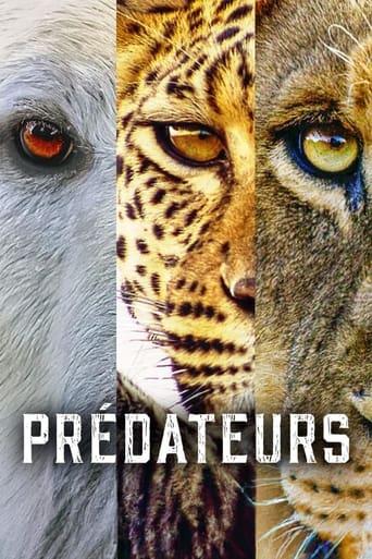 Prédateurs poster