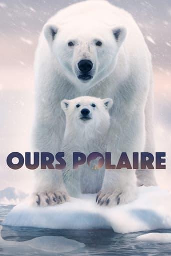 Ours polaire poster