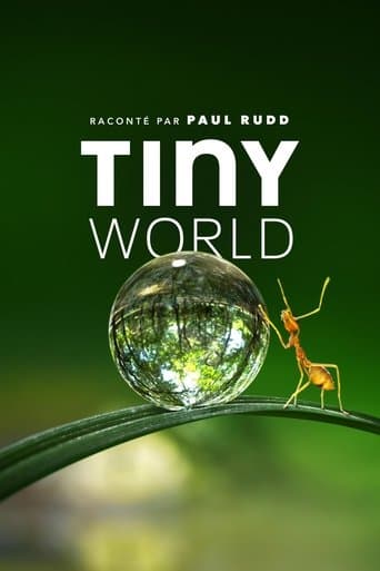 Tiny World
