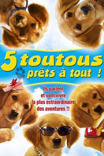 5 toutous prêts à tout poster