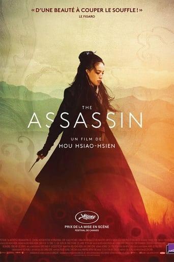 The Assassin poster