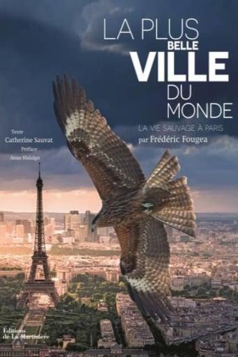 La Plus Belle Ville du monde poster