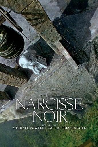 Le Narcisse noir poster