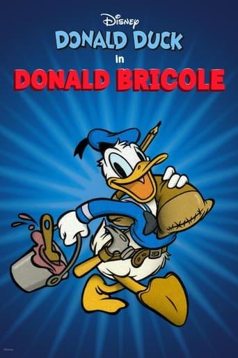 Donald bricole poster