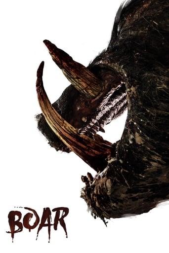 Boar poster