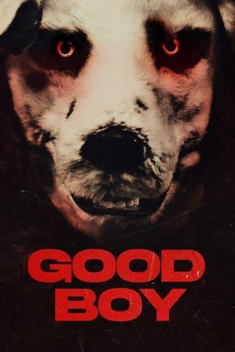 Good Boy poster