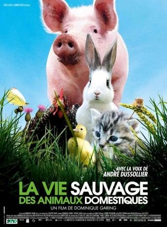 La vie sauvage des animaux domestiques poster