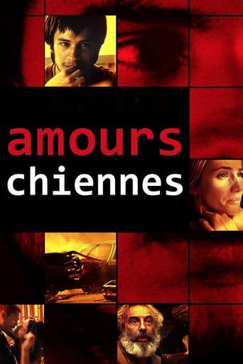 Amours chiennes poster