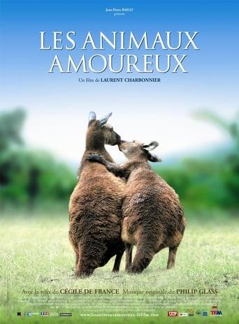 Les Animaux Amoureux poster