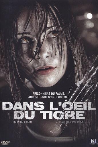 Dans l'œil du tigre poster