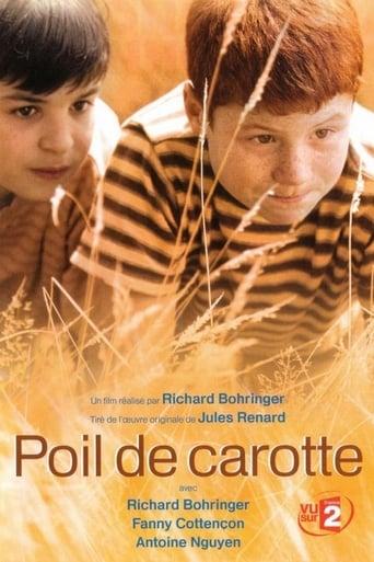 Poil de carotte poster