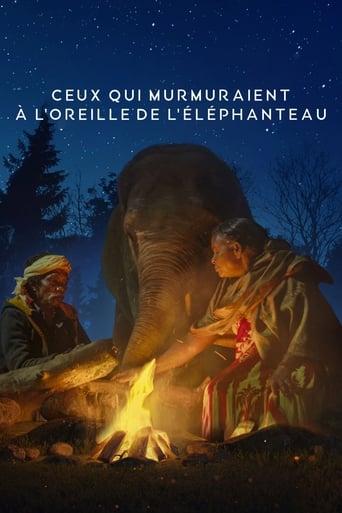 Ceux qui murmuraient à l’oreille de l’éléphanteau poster