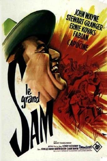 Le Grand Sam poster