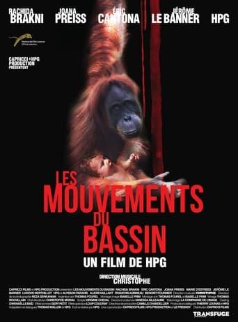 Les Mouvements du bassin poster