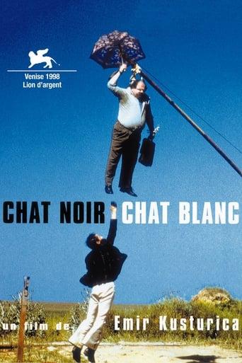 Chat noir, chat blanc poster