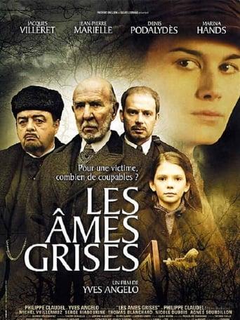 Les Âmes grises poster