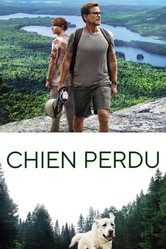 Chien perdu poster