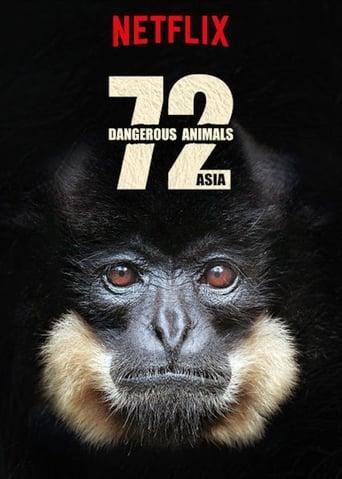 72 animaux dangereux en Asie poster