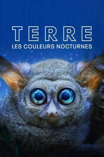 Terre : les couleurs nocturnes poster