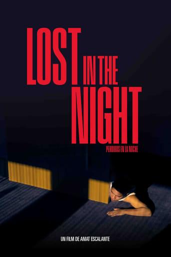 Lost In The Night poster