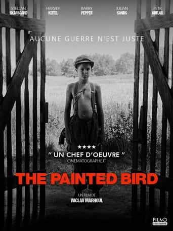 The Painted Bird poster